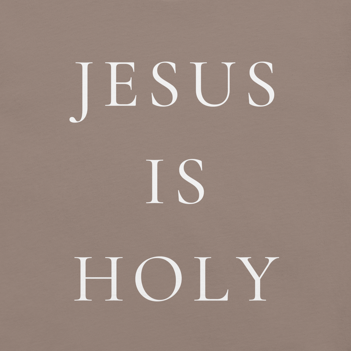 JESUS IS HOLY T-Shirt (#4)